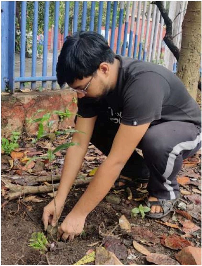 Tree Plantation Drive